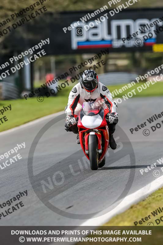 Oulton Park 21st March 2020;PJ Motorsport Photography 2020;anglesey;brands hatch;cadwell park;croft;donington park;enduro digital images;event digital images;eventdigitalimages;mallory;no limits;oulton park;peter wileman photography;racing digital images;silverstone;snetterton;trackday digital images;trackday photos;vmcc banbury run;welsh 2 day enduro